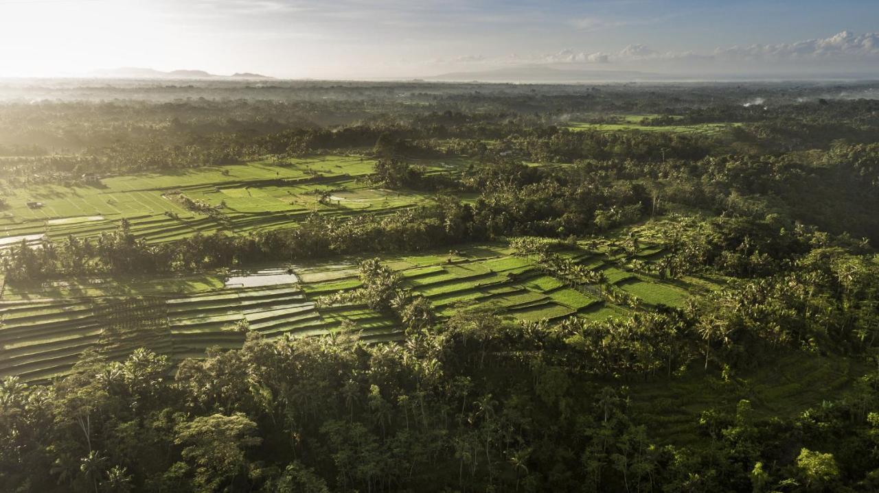 Como Shambhala Estate Payangan Bagian luar foto