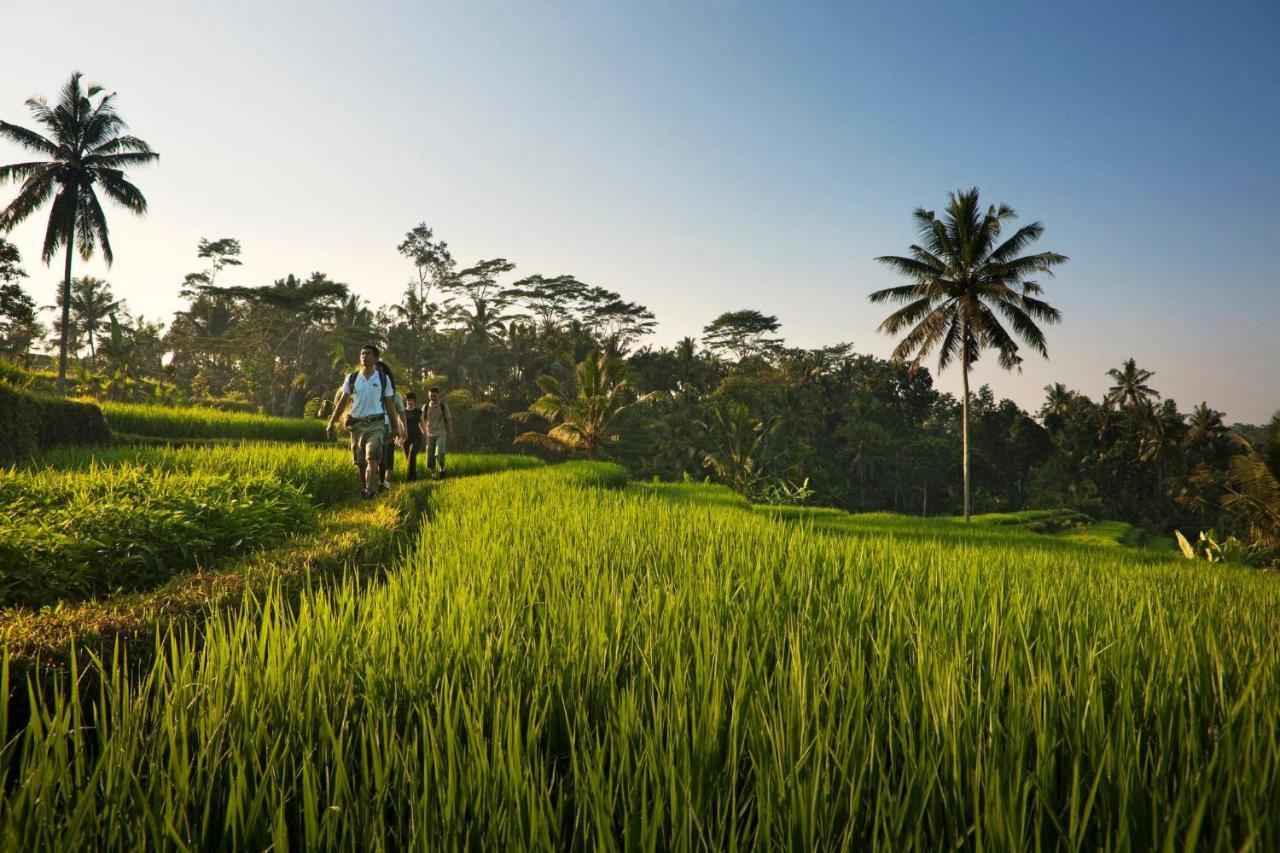 Como Shambhala Estate Payangan Bagian luar foto