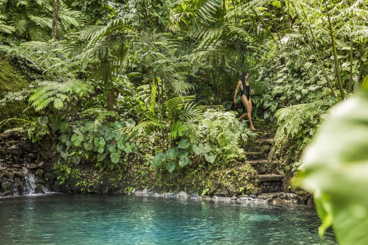 Como Shambhala Estate Payangan Bagian luar foto